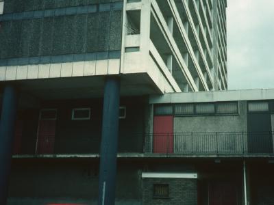 View of Kyle Court from Allison Drive