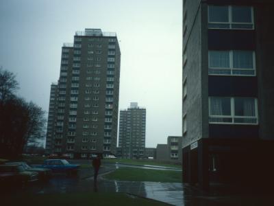 View of Flemington Area blocks with Doonside Tower in foreground