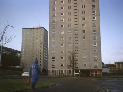 View of Thistle Court and Rowan Court