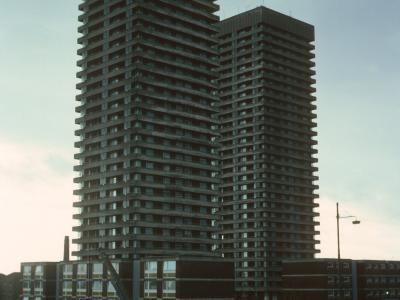 View of 51 Whitevale Street and 109 Bluvale Street