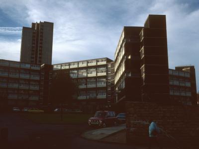 View of Hastings House behind Cardwell Cottages