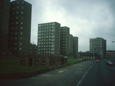 View of Bradstock Road blocks