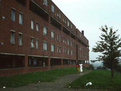 View of Chettle Court