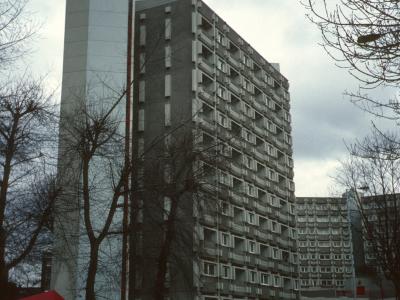 View of Stelfox House