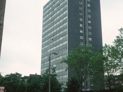 View of Ilex House