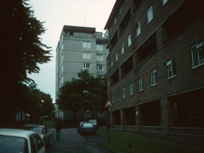View of Fern Lodge