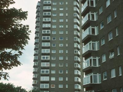 View of Park View House and Herne Hill House