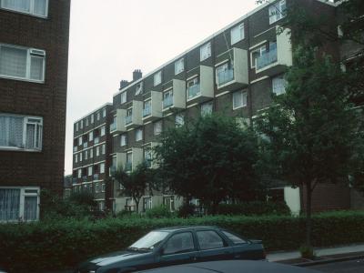 View of Citrus House