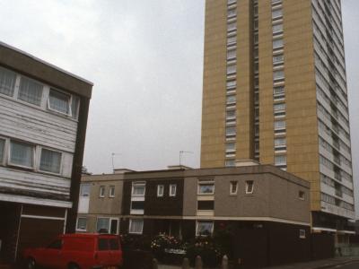 View of Ferrier Point from Forty Acre Lane