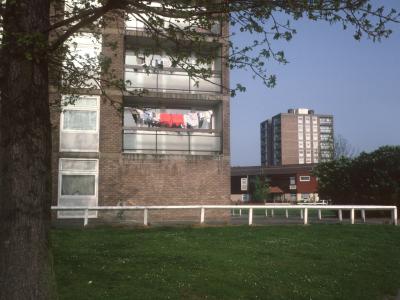 View of Larchwood House and Buckthorne House
