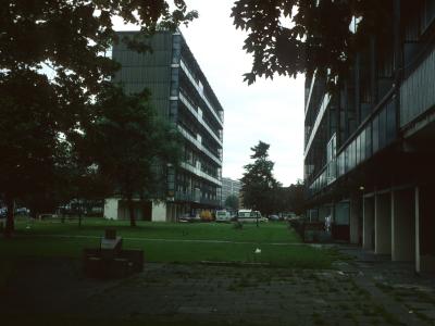 View of 11-storey blocks