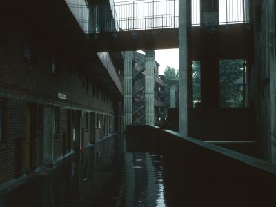View of Millender Walk