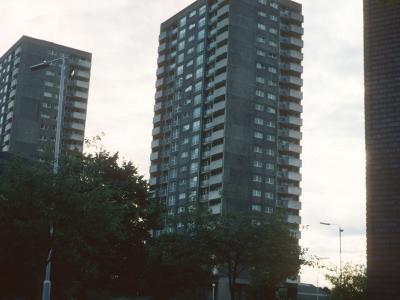 View of Redwood Tower and hornbeam Tower
