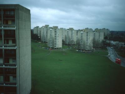 General View of Alton Estate (West) from Dunbridge House