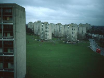 General View of Alton Estate (West) from Dunbridge House