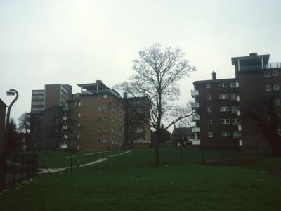 View of 5-storey blocks on William Willison Esate with 9-storey block in background