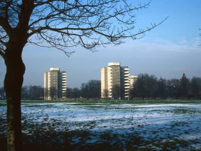 View of 11-storey blocks on Fitzhugh Estate