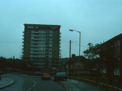 View of Redwood House