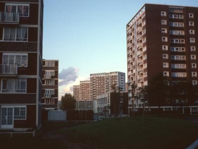View of 6-storey blocks on Bradburne Way and Elm Tree Tower with 16-storey Cromwell Street blocks in background