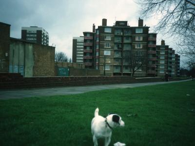 View of 6-storey and 11-storey blocks on Hawkesley Farm Moat Estate