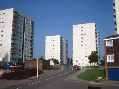 View of all four blocks, looking North up Selcroft Avenue