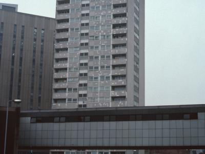 View of Stephenson Tower