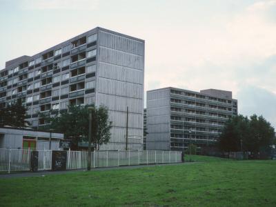 View of Edwards Court and Birch Tree Court