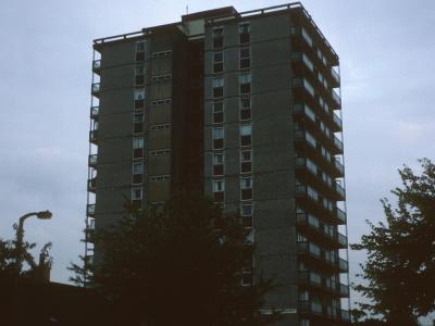 View of Magnolia Court