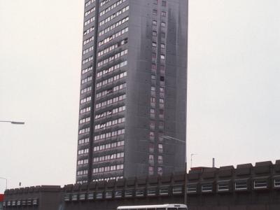 View of Briar Hill Court