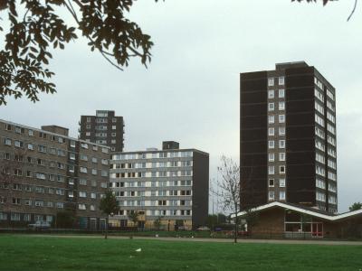 View of Whitebeam Court, Salix Court, and Malix Court with John Lester Court in background