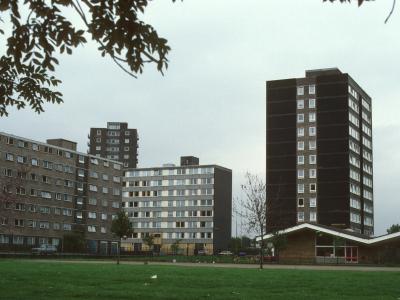 View of Whitebeam Court, Salix Court, and Malix Court with John Lester Court in background
