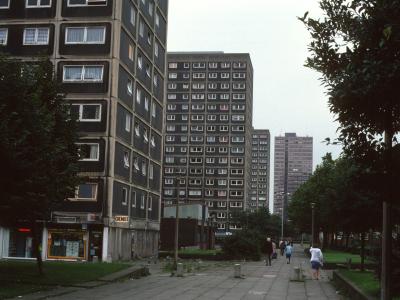 View of Mulberry Court, Sycamore Court, and Magnolia Court with Thorn Court in background
