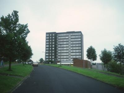 View of Fir Tree House