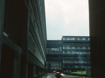 View of blocks in Cullingtree