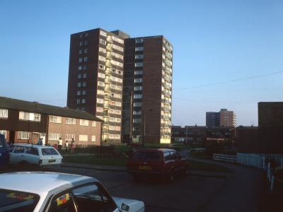 View of Bewley Court with Lonbow in background