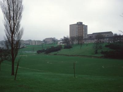 View of Woodlands Court
